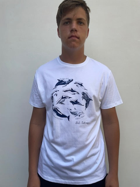 Men's Dolphin Species Tee