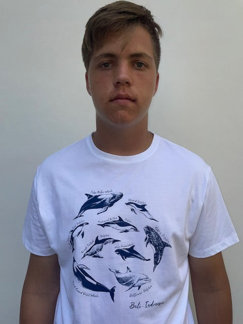 Men's Dolphin Species Tee