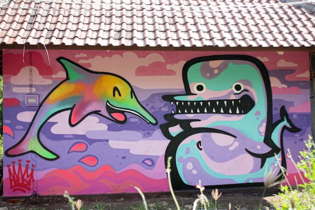 Kid's Kiwie Dolphin Tee