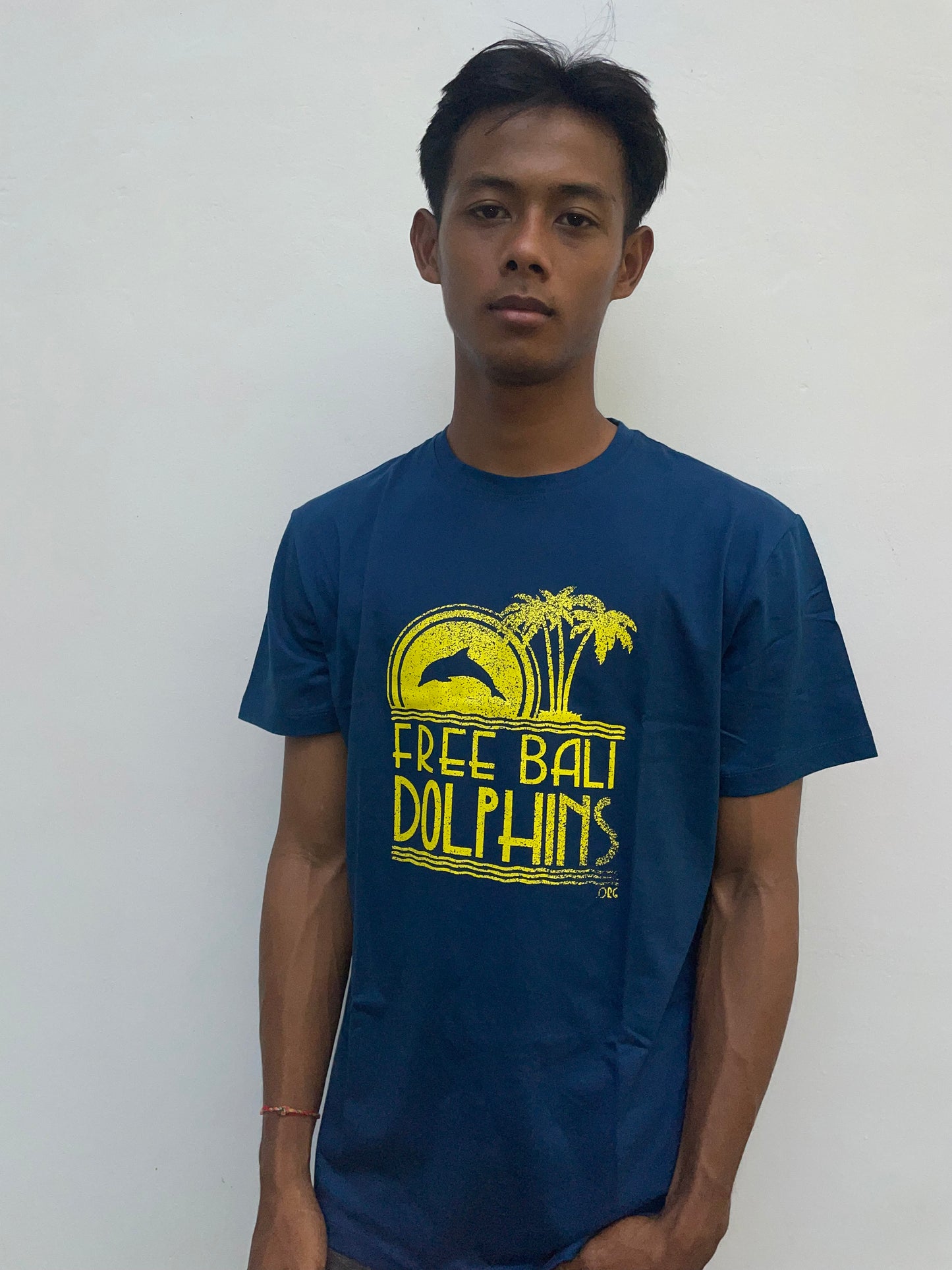 Men's Free Bali Dolphins Tee